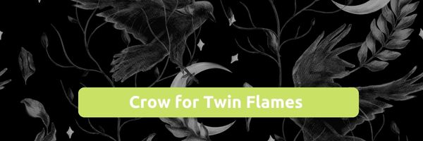 Crow for twin flames