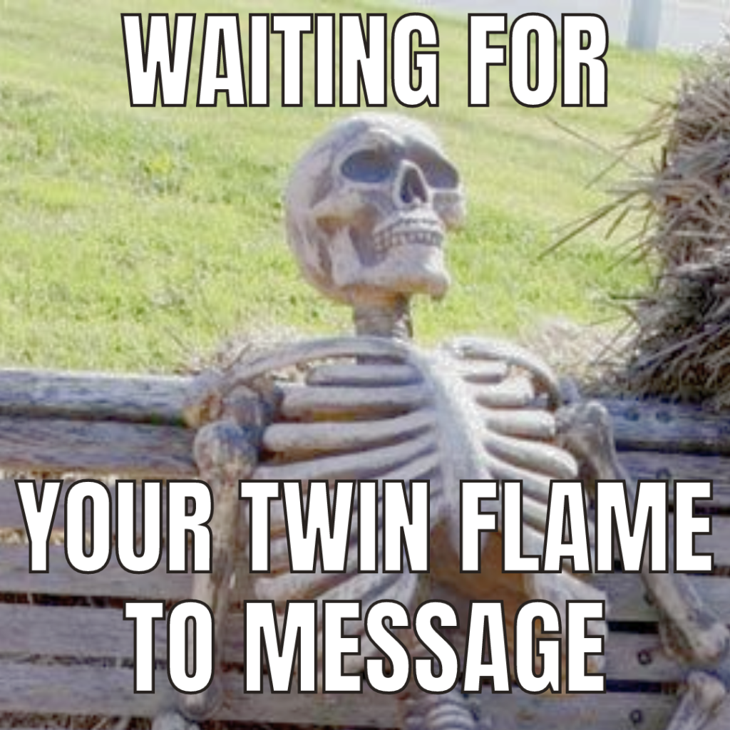 twin flame meme